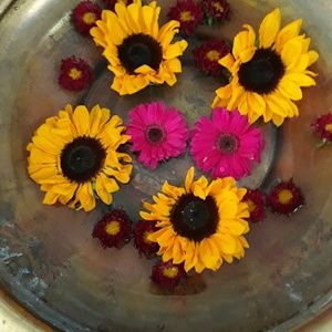 Meet your Posher, Ethel